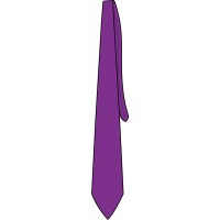 Boy's Neck Tie (For Year 10 & above)