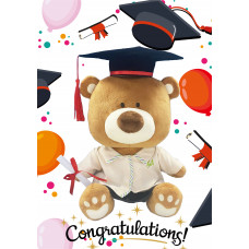 Sr. Graduation Teddy Bear