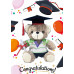 Graduation Teddy Bear