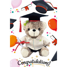 Sr. Graduation Teddy Bear